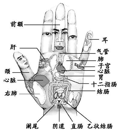 保健养生：从手掌看健康 掌纹提示亚健康