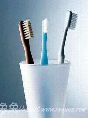 牙刷相互间太近易传细菌