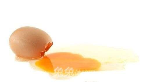 鸡蛋散黄还能吃吗