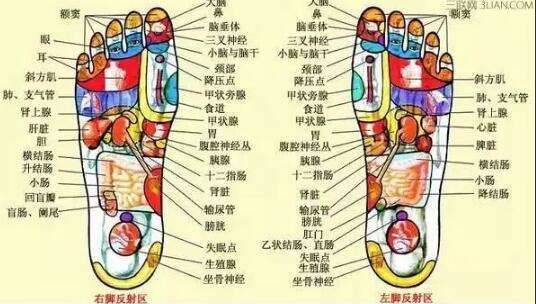 北京足部反射区的按摩手法