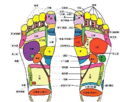 足疗穴位图 脚底的穴位图及功能