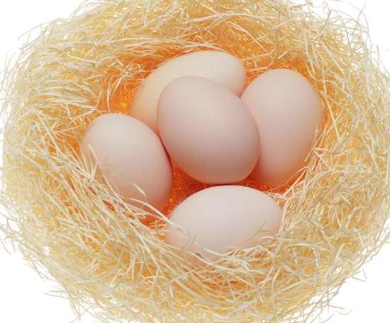 白皮鸡蛋和红皮鸡蛋养分差异竟然那么大？？？