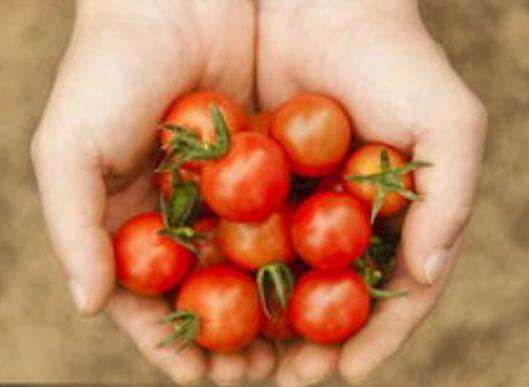 爱吃西红柿的宝宝，你get到健康好处吗？