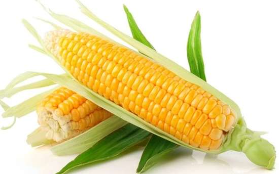 常常吃玉米对我们的身体很好，你知道多少？