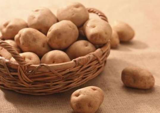 经常吃土豆，你应该知道这些？