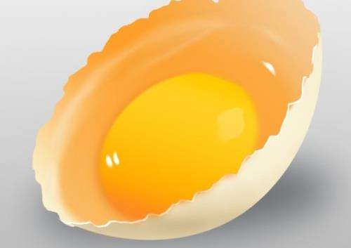 早餐吃鸡蛋有什么好处？
