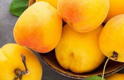 北京养生会所告诉您6种水果不仅排毒养颜 还防衰老