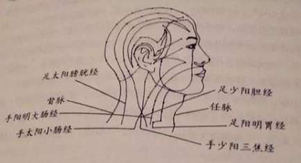 人体53个穴位功效按摩方法