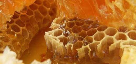 蜂胶的作用与功效 蜂胶有哪些养生保健功效