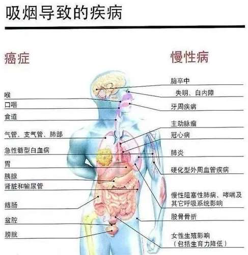 喝茶，真的能预防癌症吗？