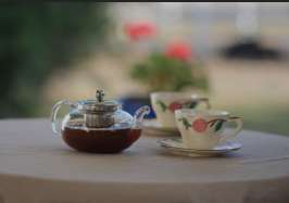 一盏茶烟伴诗心，茶让生活幻化成诗