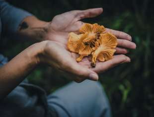 秋季养生食谱：推荐七款养生保健粥，润肺除燥