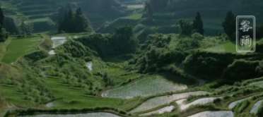 谷雨后养生，必吃祛湿养生粥，一碗治百病