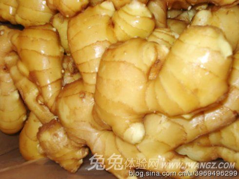 兔兔网 兔兔网