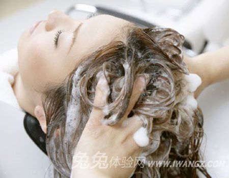 兔兔体验网 兔兔体验网
