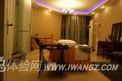 翠鸟SPA