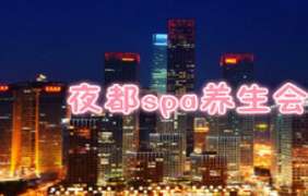 夜都·欢情spa会所